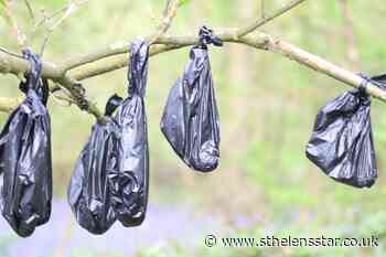 Dog poo bags strewn across trees and branches - St Helens Star
