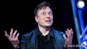 So will Elon Musk Twitter verändern: Die Pläne des Tesla-Chefs - BILD