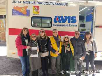 Enna – Lions e Avis: giornata di donazione del sangue - Dedalomultimedia