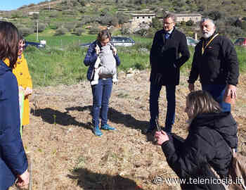 Enna, piantate essenze arboree nella Riserva Speciale del Lago di Pergusa - TeleNicosia