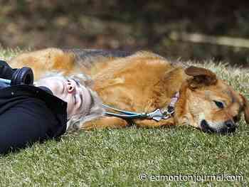 Edmonton weather: It was raining and now it's snowing, what's new?