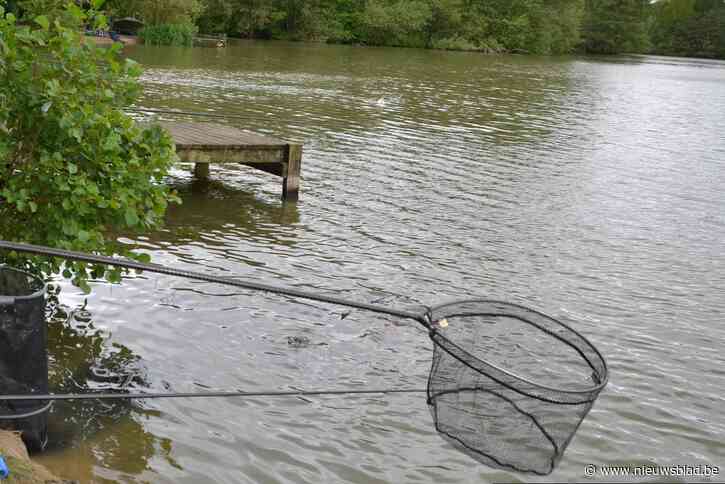 Mogelijk karpervirus in visvijvers Rijdtmeersen: “Zet nu geen vissen uit”