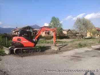 Il prato di via Falcone ad Avigliana diventa un'area cani - Quotidiano Piemontese