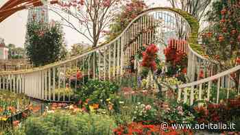 Piante da giardino: ecco l’alternativa al classico prato verde - AD Italia