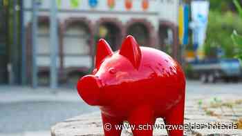 Haushalt in Bad Liebenzell: "Es ist ein Spagat, der wehtut"