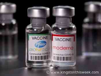 Health unit leads in fourth doses | Kingston/Frontenac This Week - Kingston This Week