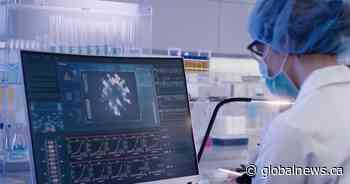 COVID-19 numbers have hit a plateau in the Kingston region: experts - Global News