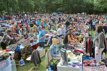 „Die Leute haben Bock auf Flohmarkt“