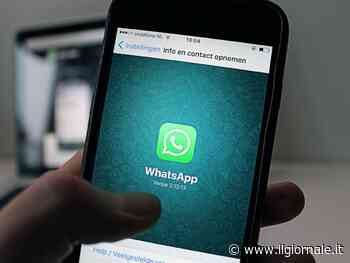 WhatsApp diventa a pagamento? Forse (ma non per tutti)
