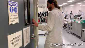 Hemp testing facility expanding with Brandon lab, new jobs - Bay News 9