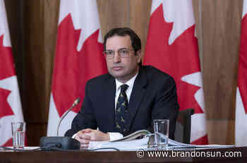 Environment watchdog issues carbon tax, green plan warnings - The Brandon Sun