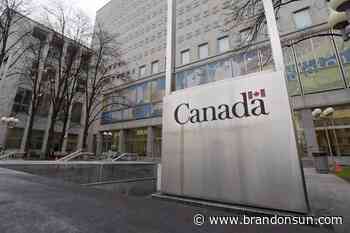 National archives' access system in 'bleak state' - The Brandon Sun