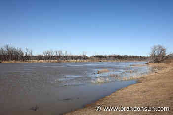Flood warning issued along Assiniboine River - The Brandon Sun