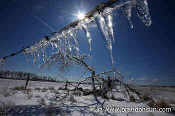 Storm's impact lingers - The Brandon Sun