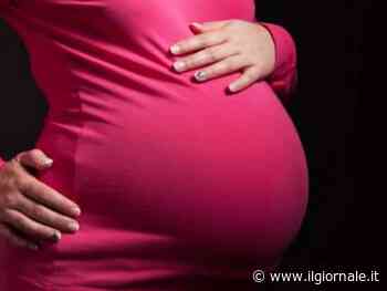 "Così l'ideologia pro-aborto nega il dolore delle madri"