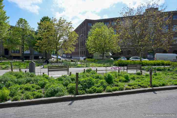 Wordt groenzone voor Xaveriuscollege het ‘Ignatiusplein’? “Alweer geen vrouw” en “regels moeten gevolgd worden”