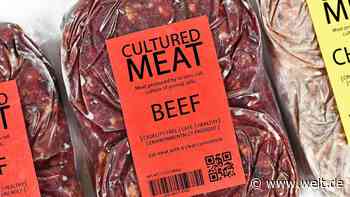 Ernährung: Drastisch weniger Umweltfolgen möglich. Aber mit Essen aus dem Labor - WELT - WELT