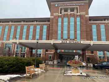 Coronavirus Death Toll Way Down At Elmhurst Hospital - Patch