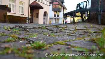 Baum in Schiltach - Linde sorgt für unebenes Pflaster - Schwarzwälder Bote