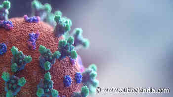 Recombinant Coronavirus Variants In India Very Few, Don't Affect Severity: INSACOG - Outlook India