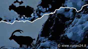 A Cuneo "La natura che cambia, gli animali e la minaccia del riscaldamento globale" - Cuneo24