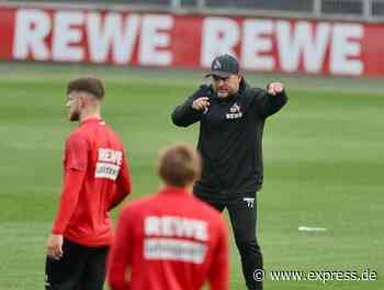 1. FC Köln muss vor Augsburg-Partie auf einige Spieler verzichten - EXPRESS