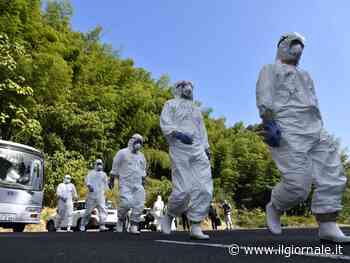 In Cina il primo caso al mondo di aviaria H3N8 sull’uomo