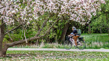 Frühlings-Wetter in Deutschland: Mehr als 20 Grad – Ab Freitag droht Saharastaub