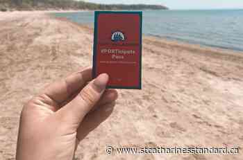 Surfs up! Port Colborne's Nickel Beach and Centennial-Cedar Bay Beach officially open May 20 - St. Catharines Standard