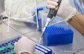 448 Neuinfektionen mit Corona gemeldet - Landkreis Passau - Passauer Neue Presse - PNP.de