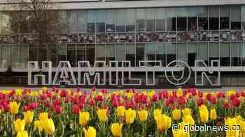 Hamilton’s employee vaccination policy stays in place following tie vote