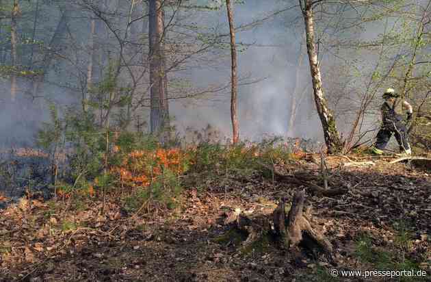 FW Lüchow-Dannenberg: Erster größerer Waldbrand in Nordost-Niedersachsen in diesem Jahr +++ Passant entdeckt Rauchwolke von der anderen Elbseite aus +++ Löscharbeiten beschäftigten über 70 ehrenamtliche Einsatzkräfte