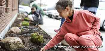 Energized for efficiency: Headwaters Music and Arts holds planting, painting Earth Day event - The Bemidji Pioneer