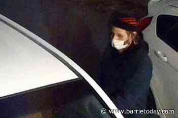 Police probing thefts from vehicles in Thornton, Loretto, Alliston areas - BarrieToday