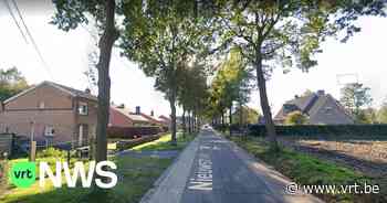 Dan toch geen grote boomkap in Knesselare: “Dwangsom van 1.000 euro per boom als het toch gebeurt” - Vlaamse Radio- en Televisieomroeporganisatie