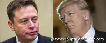 Racheté par Elon Musk, Twitter va-t-il réintégrer Donald Trump?
