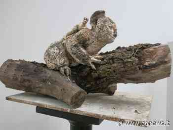 A Pisa e Volterra le opere del progetto “Terra” di Monica Mariniello - gonews