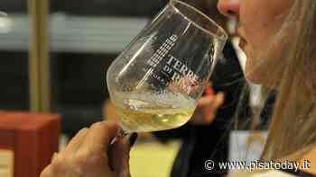 Arriva il via libera dalla Regione: il marchio Terre di Pisa diventa 'DOC' - PisaToday