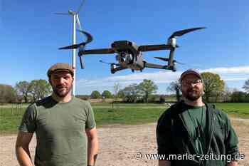 Marl: Wildunfälle in Marl - Rehe sind in der Brunftzeit blind für Gefahren - Marler Zeitung