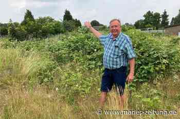Marl: Neubebauung an der Kriemhildestraße - Anlieger kritisieren Pläne der Stadt - Marler Zeitung