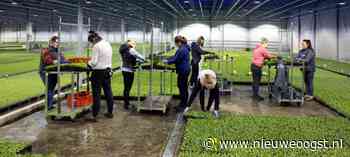 Brussel wil meer legale migratie vanwege personeelstekorten - NieuweOogst.nu