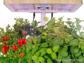 Way Day 2022 deal: Save $87 on Intelligent hydroponic unit