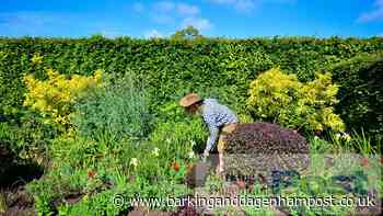 Havering, Barking, Dagenham rank cheapest for London gardens - Barking and Dagenham Post