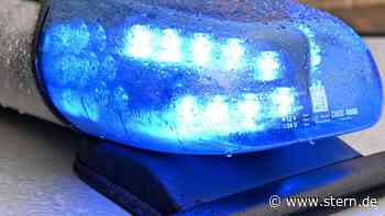 Diepholz: Ausgebüxtes Rind beschädigt Autos in Sulingen - STERN.de