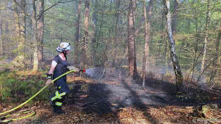 Landkreis Lüchow-Dannenberg: Feuerwehr bekämpft Waldbrand - NDR.de