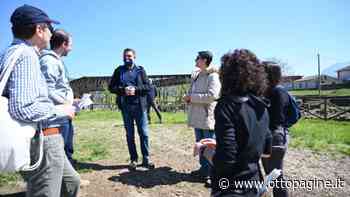Atripalda, ricercatori universitari nell'antica Abellinum - Ottopagine