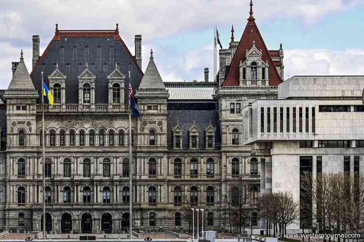 Highest NY Court Rules Democrats Unconstitutionally Gerrymandered New Congressional Map