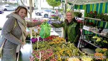Werl/Kreis Soest: Bis zu 30 Prozent teurer: Steigende Preise auf dem Wochenmarkt - soester-anzeiger.de