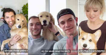 Celebrity Pets and Their Humans Make Cameo Appearances in Upbeat Insurance Campaign