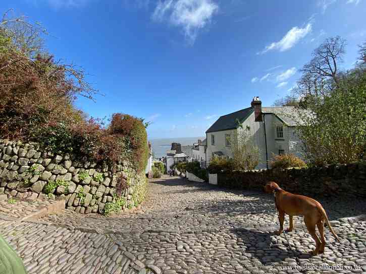 Clovelly: A Real-Life Fairy Tale - Holly Goodchild